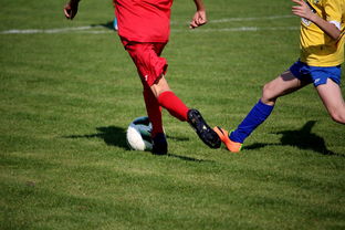 AIYOUXI.COM-比利时男篮在欧洲预赛中坚持不懈，目标奥运荣誉，比利时男子篮球队