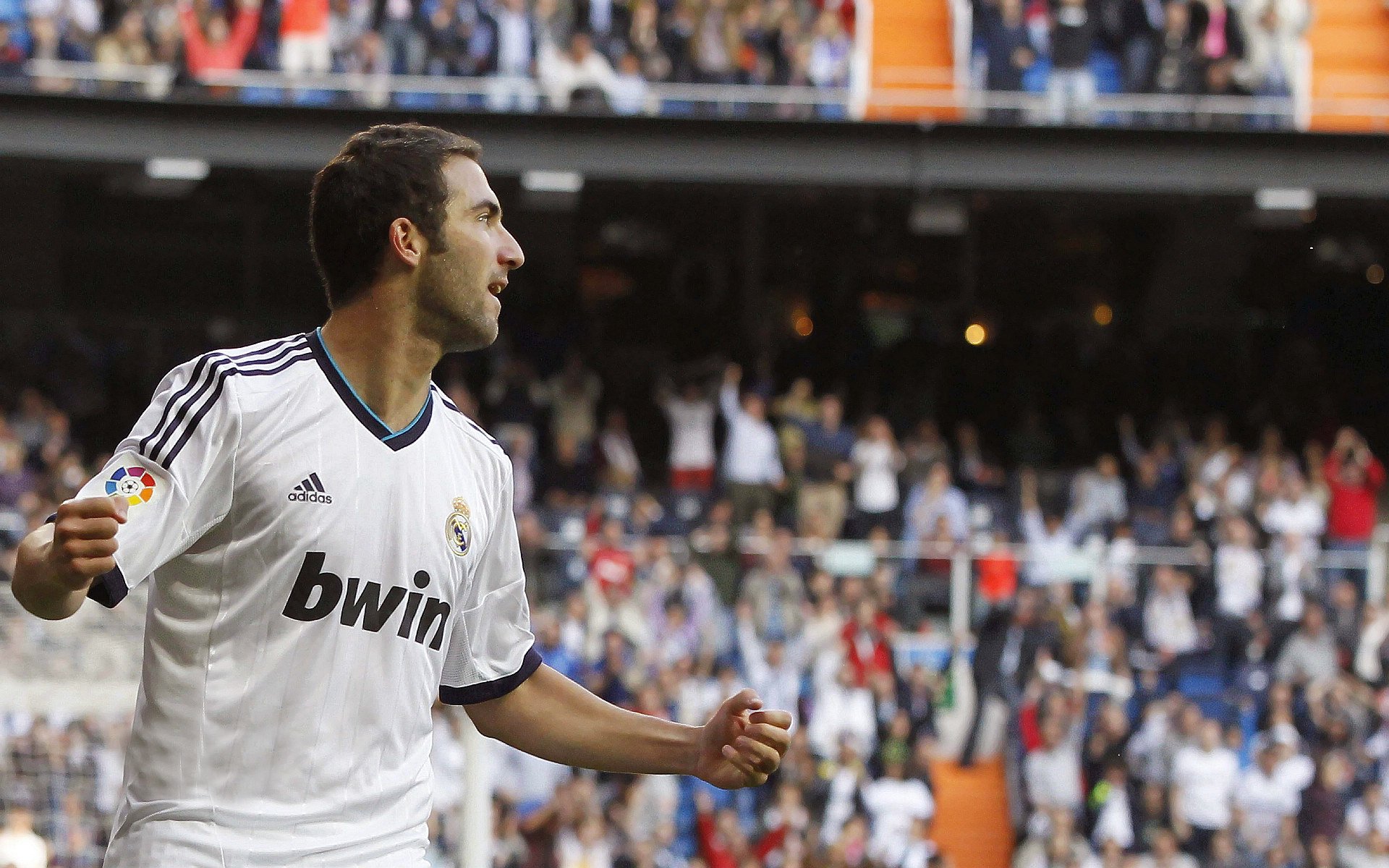 球迷文化大融合,现场氛围热烈,球迷文化的见解